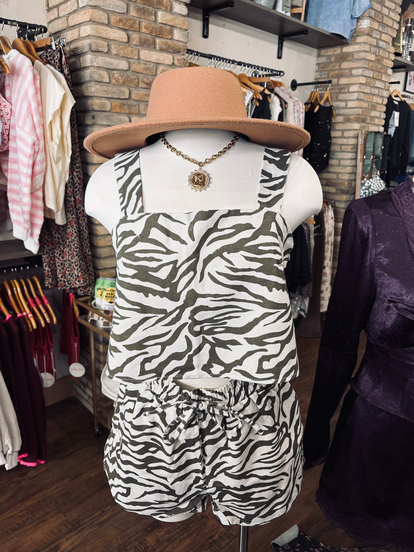 Desert Drift Zebra Set 🦓