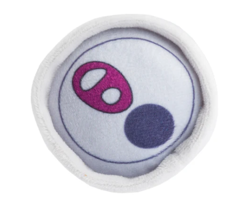 White Paw - Bark Cherry