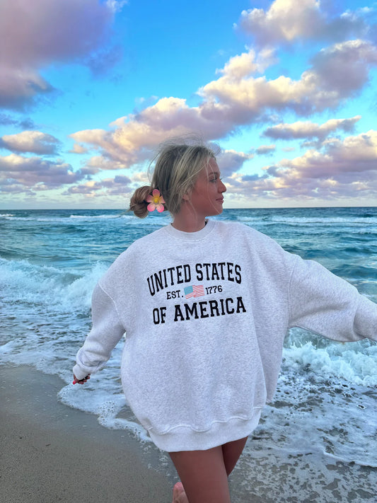 Pearl Grey United States Of America Embroider Sweatshirt
