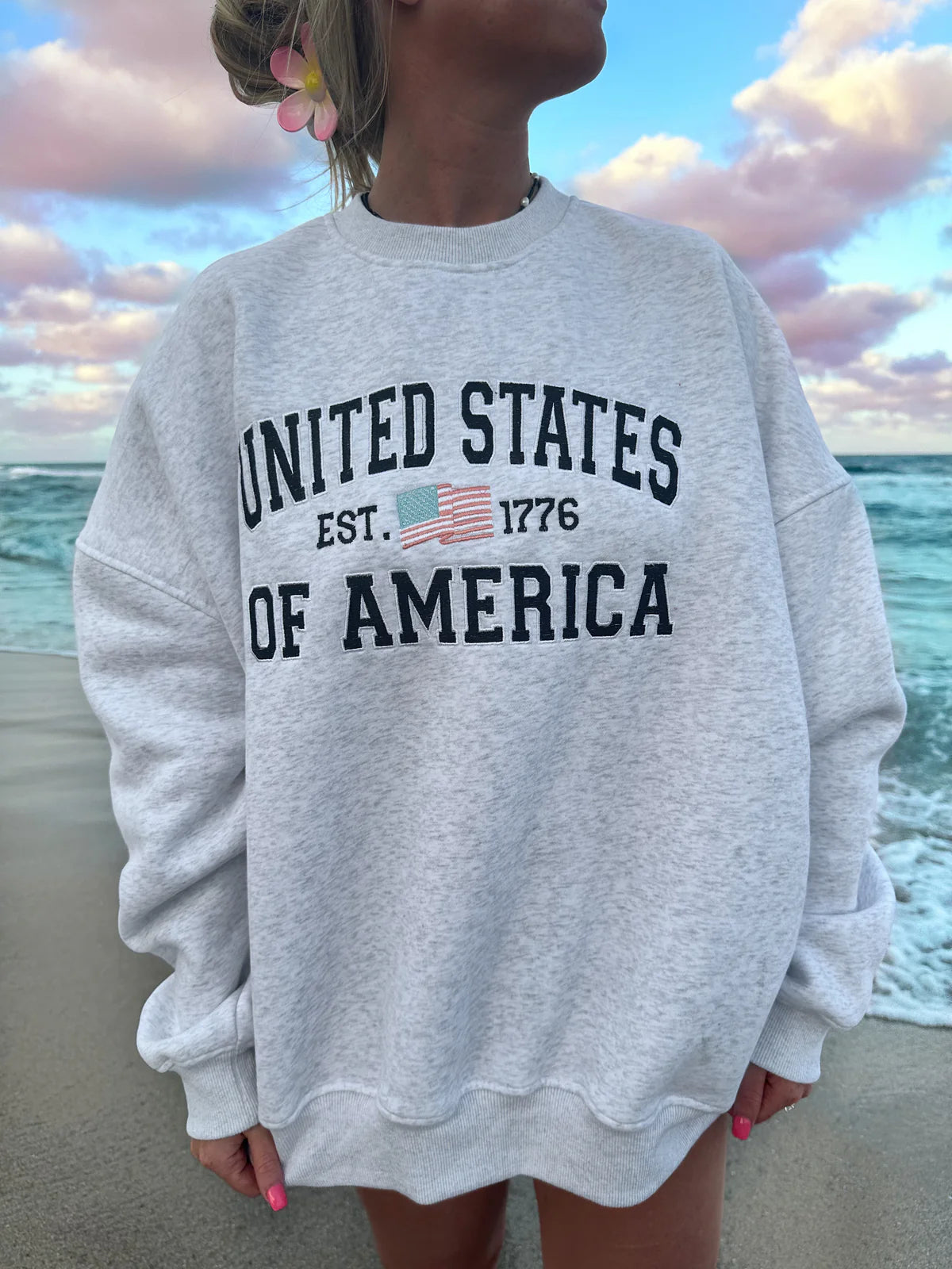 Pearl Grey United States Of America Embroider Sweatshirt