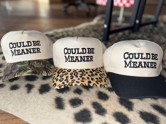 Could Be Meaner Trucker